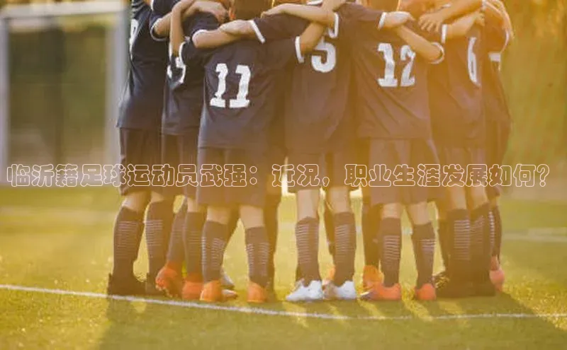 mile米乐m6官网百度翻译App临沂籍足球运动员武强：近况，职业生涯发展如何？