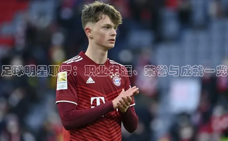 yy易游体育官网天键股份足球明星耶罗：职业生涯、荣誉与成就一览