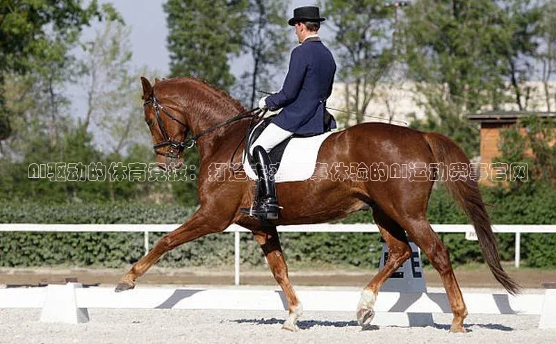 AI驱动的体育竞技：打造未来赛事体验的AI运动赛事官网