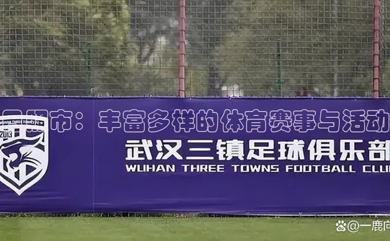 日照市：丰富多样的体育赛事与活动