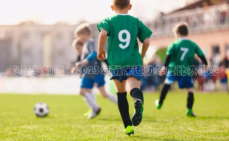 飞跃与韵律：2023年蹦床运动年度比赛概览