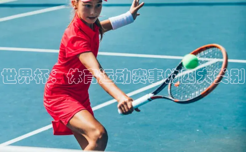 世界杯：体育运动赛事的四大类别