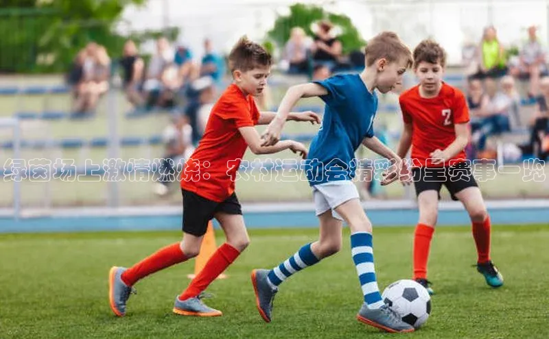 绿茵场上激情燃烧：农村运动会精彩纷呈赛事一览