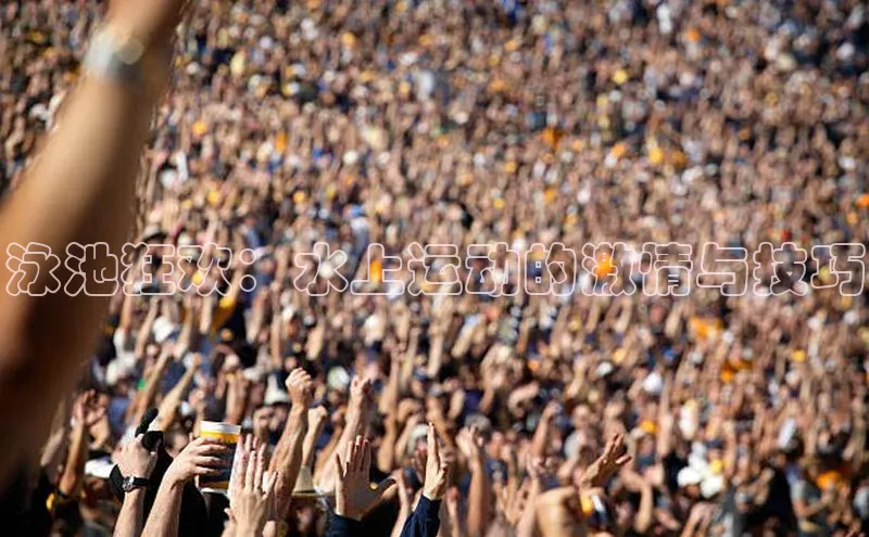 泳池狂欢：水上运动的激情与技巧