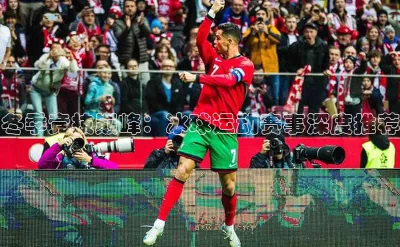 冬季竞技巅峰：冰球运动赛事深度推荐