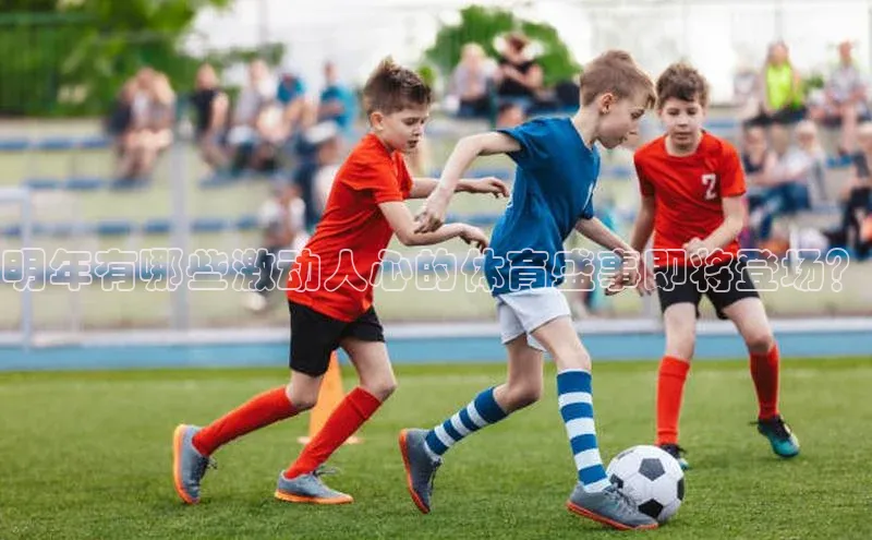 明年有哪些激动人心的体育盛事即将登场？