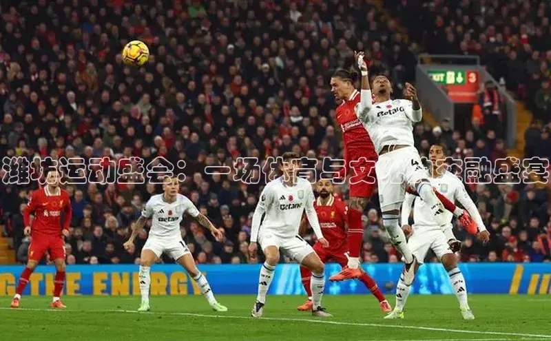 易游app官方下载