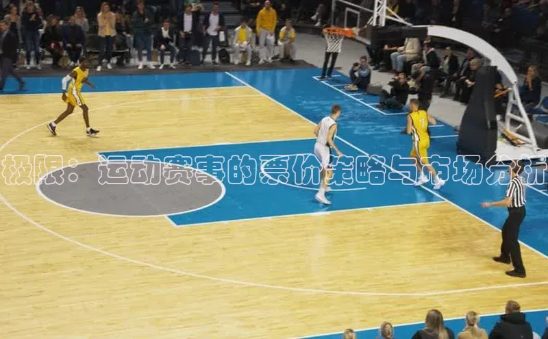 极限：运动赛事的票价策略与市场分析