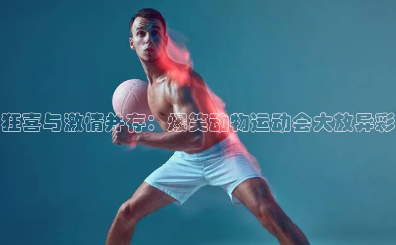 米乐m6网页版登录入口