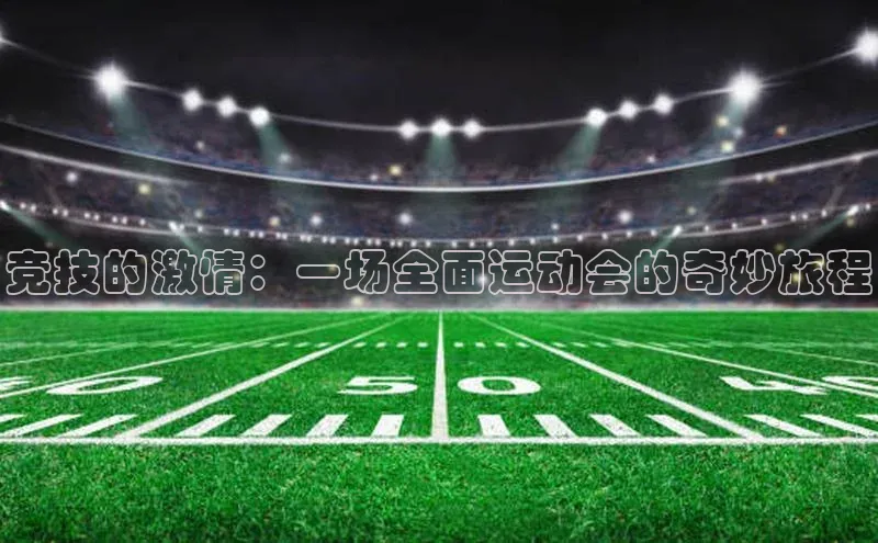 竞技的激情：一场全面运动会的奇妙旅程