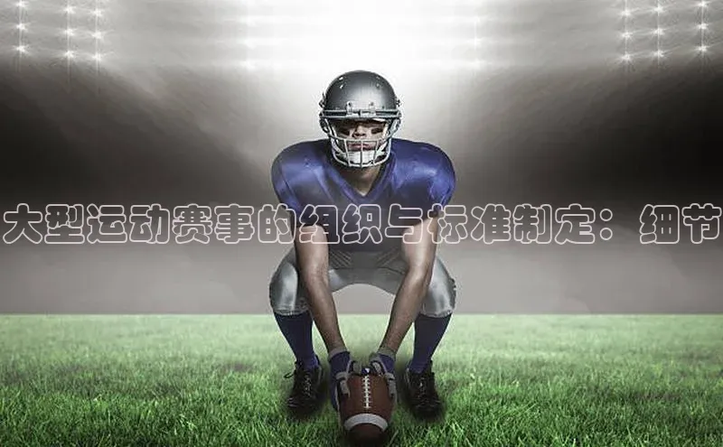 大型运动赛事的组织与标准制定：细节